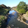 秋の野川サイクリング