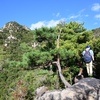 山行記　右田ヶ岳　塚原ルート往復　親子登山