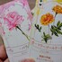 『タッジー・マッジー』「ウィングスパン」の作家がつくった「ラブレター」を2人で遊ぼうよ【100点】