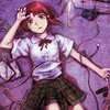 私のアプリケーション／私と「あたし」の記憶が混在する『serial experiments lain』にまつわる記録