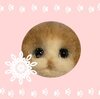 羊毛フェルト始めてみた　最初の1歩編