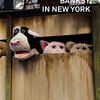 バンクシー出没にニューヨークは大騒ぎ〜『BANKSY IN NEW YORK バンクシー・イン・ニューヨーク』