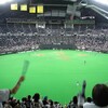 日本ハム×西武（19回戦、札幌ドーム）