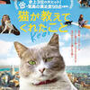 つくづく不思議な生き物のドキュメンタリー映画『猫が教えてくれたこと』