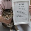 モモちゃん(16歳)