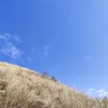 神奈川県　大野山へ