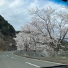 福井若狭②