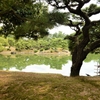 栗林公園を歩く（2）：香川県高松市