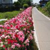 山鹿三十三観音霊場23・21・20・16・17・19番札所観音堂・万行寺