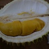 King of Fruitsドリアンdurian