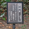 万葉歌碑を訪ねて（その１２４８，１２４９）―加古郡稲美町　稲美中央公園万葉の森（４６、４７）ー万葉集　巻七　一一一八、巻二十　四三五二
