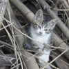 　(´ヘ｀;)　う～ん今晩から横殴りの雨だと言う・・