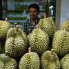 Good news for Malaysia’s durian growers as China approves import of frozen whole fruits 