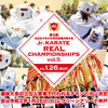 大会情報・トーナメント表｜1/26「2019リアルチャンピオンシップ決勝大会・最強決定戦」（グリーンアリーナ神戸）