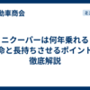 ミニクーパーは何年乗れる？寿命と長持ちさせるポイントを徹底解説