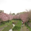 野川沿い（東京都小金井市）