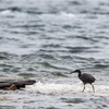 風吹き荒れる海へ