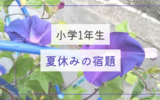 【小学1年生】初めての夏休みの宿題