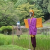 🌾小石川後楽園の案山子（かかし）です😊