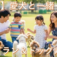 【兵庫県】愛犬と行く！ドッグカフェ＆ドッグラン完全ガイド《90選》