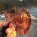 ぼっちで気ままな釣りブログ。