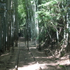 ダムツアー2024山陰編①
