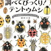 テントウムシ