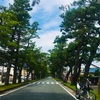 守ってあげたい