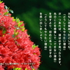 こころの道しるべ（318）やりたい理由