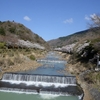 足柄下郡　桜前線第伍陣～箱根町宮城野、強羅で枝垂れ桜を撮る！