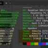 RaspberryPi3（Buster）にpandasとnumpyをインストール成功