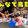 9月15日の動画