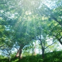 永遠の旅～eternaljourney～