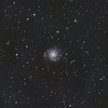 M74 光害地でどのくらい写る？