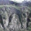 早春賦―鎌倉十王岩―