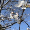 愛されるのは、いつだって自分が短所だと思っている部分。