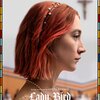 №1,388　洋画セレクション　“ レディ・バード　Lady Bird ”