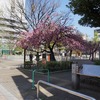 2022/04/10 浅草散歩 02 花川戸公園/旧日光街道/待乳山本龍院/待乳山聖天公園/文殊堂/猿若町会館/市村座跡