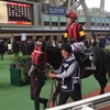 モーリス、規格外の強さ‼︎。エイシンヒカリは”らしさ”を見せて、ラストラン！。    香港国際競走2016  観戦旅行記  その1  香港カップ