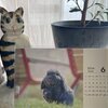 今年2回目の落とし物