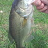水郷バス釣行　１０．２５