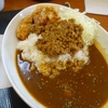  鶏そぼろ からあげカレー