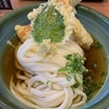 久々香川のうどん旅