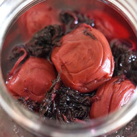 海外在住の梅干しの作り方 梅仕事inフィンランド 北欧でメシを食う