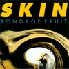 『SKIN』（'02）Bondage Fruit