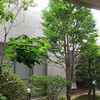 花言葉は・・・