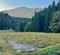 山刀伐ハス園の池（山形県尾花沢）