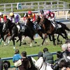 2017ﾀﾞｰﾋﾞｰ卿CT・大阪杯ﾃﾞｰﾀ予想～浦和桜花賞・名古屋大賞典もあり〼