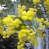 季節は春に近づいていく