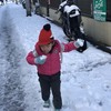 雪の朝